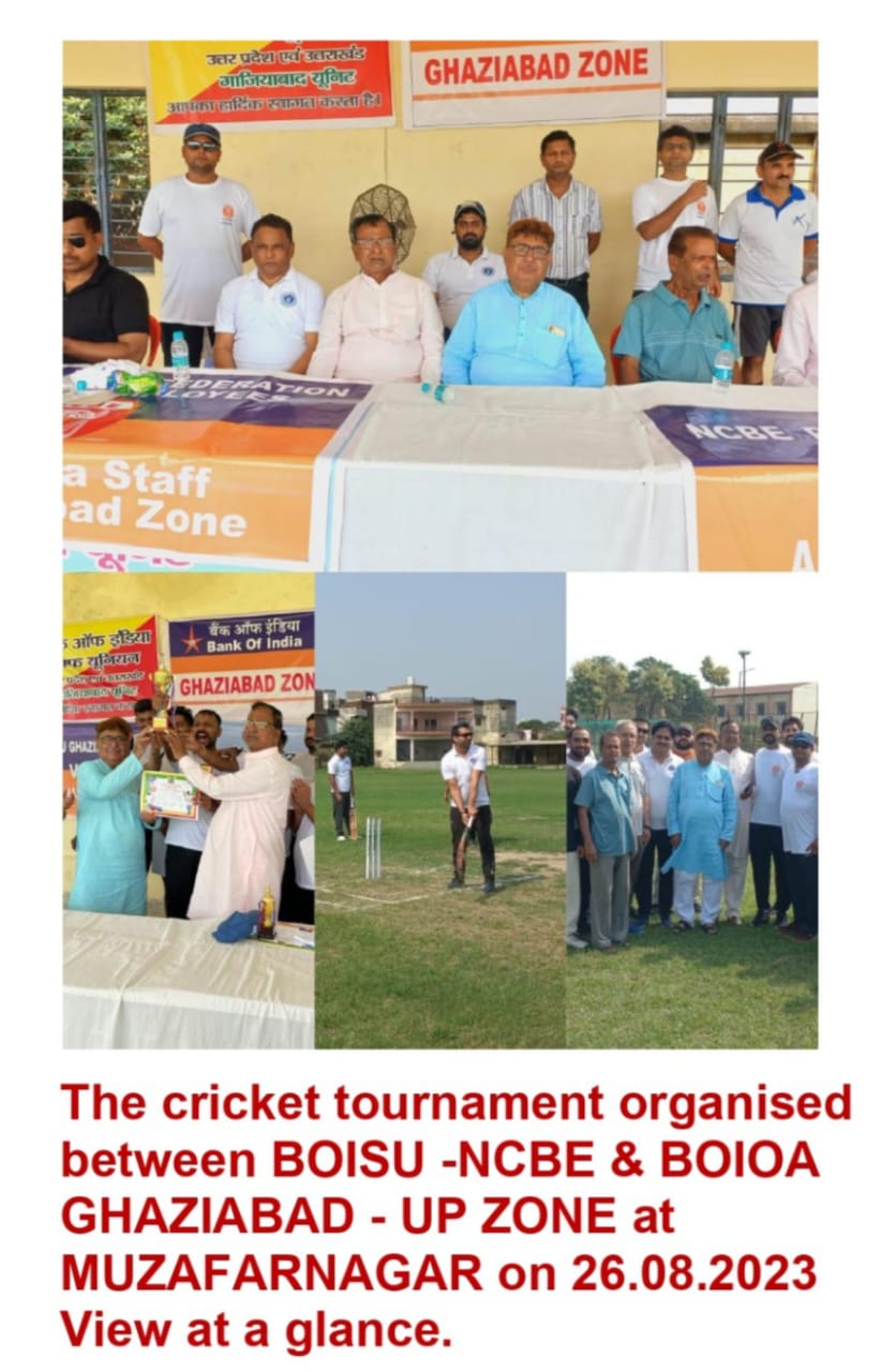 Cricket tournament organised